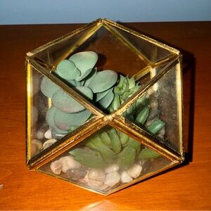Glass Terrarium artificial succulent